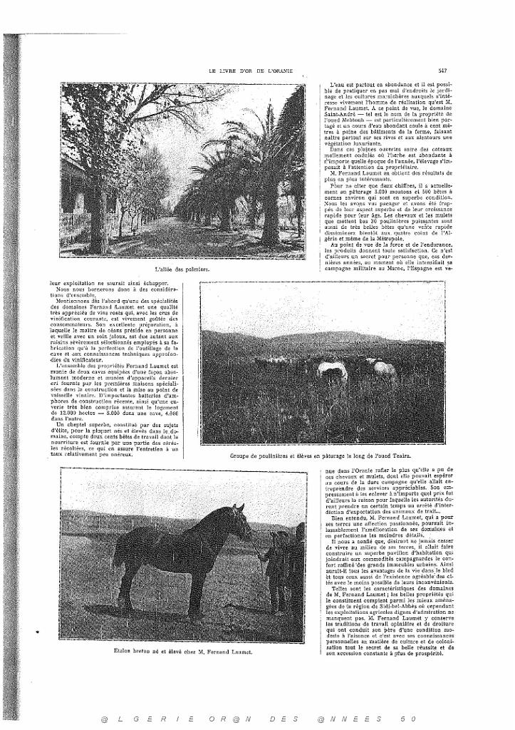 LIVRE D OR DE L ORANIE_000086.jpg